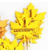 топпер 1 сентября 3